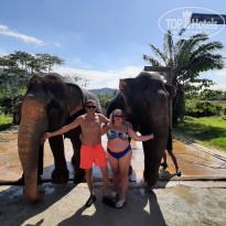 фото из отзыва ID 2717269