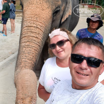 фото из отзыва ID 2717269