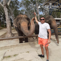 фото из отзыва ID 2717269