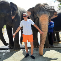 фото из отзыва ID 2717269