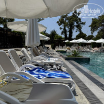 фото из отзыва ID 2717307