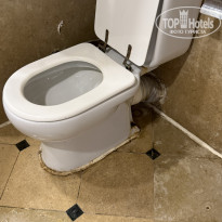 фото из отзыва ID 2717327