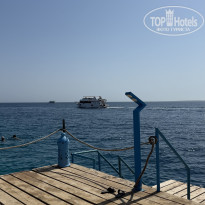 фото из отзыва ID 2717327