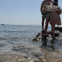 фото из отзыва ID 2717327