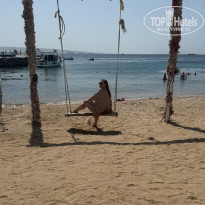 фото из отзыва ID 2717327