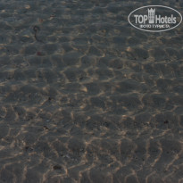 фото из отзыва ID 2717390