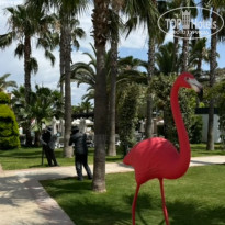 фото из отзыва ID 2717391