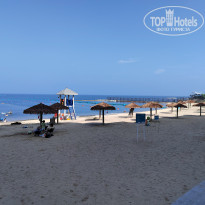 фото из отзыва ID 2717381