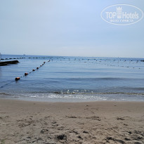 фото из отзыва ID 2717381