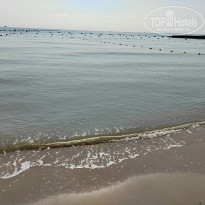 фото из отзыва ID 2717381