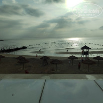 фото из отзыва ID 2717381