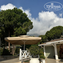 фото из отзыва ID 2717412