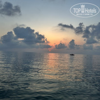 фото из отзыва ID 2717412