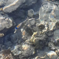 фото из отзыва ID 2717237