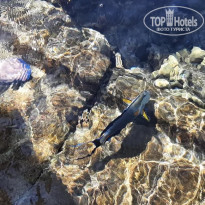 фото из отзыва ID 2717237