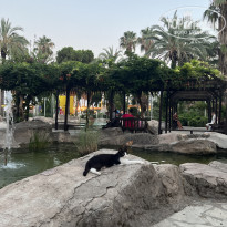 фото из отзыва ID 2717442