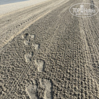 фото из отзыва ID 2717471