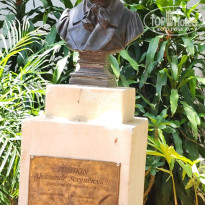 фото из отзыва ID 2717495