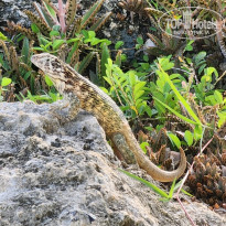 фото из отзыва ID 2717495