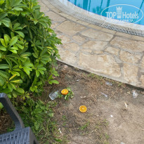 фото из отзыва ID 2717531