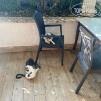 фото из отзыва ID 2717531