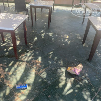 фото из отзыва ID 2717531