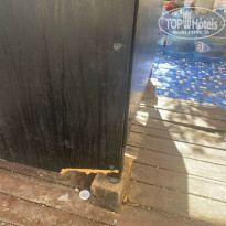 фото из отзыва ID 2717531