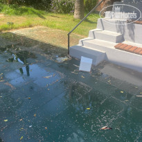 фото из отзыва ID 2717531