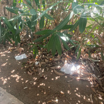 фото из отзыва ID 2717531