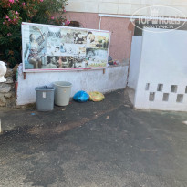 фото из отзыва ID 2717531