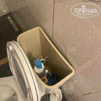 фото из отзыва ID 2717531