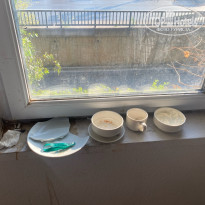 фото из отзыва ID 2717531