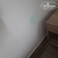 фото из отзыва ID 2717545