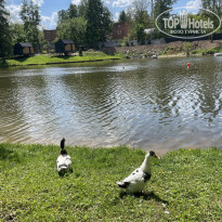 фото из отзыва ID 2717541