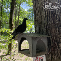 фото из отзыва ID 2717541