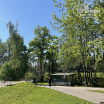 фото из отзыва ID 2717541