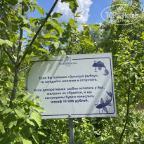 фото из отзыва ID 2717541