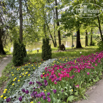 фото из отзыва ID 2717541