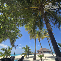 фото из отзыва ID 2717594