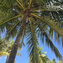 фото из отзыва ID 2717594