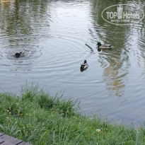 фото из отзыва ID 2714707