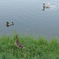 фото из отзыва ID 2714707