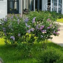 фото из отзыва ID 2714707