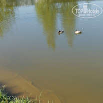 фото из отзыва ID 2714707