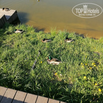 фото из отзыва ID 2714707