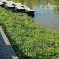 фото из отзыва ID 2714707