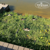 фото из отзыва ID 2714707