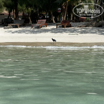 фото из отзыва ID 2717609