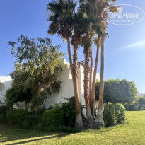 фото из отзыва ID 2717646