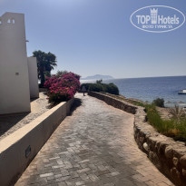 фото из отзыва ID 2717646